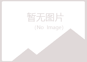 伊春红星字迹能源有限公司